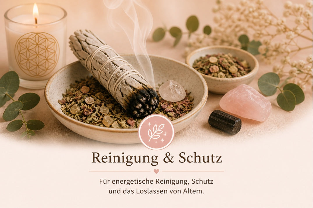Reinigung & Schutz